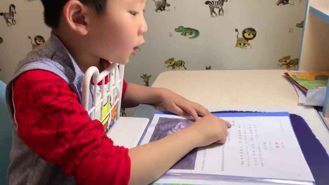 知识的海洋4