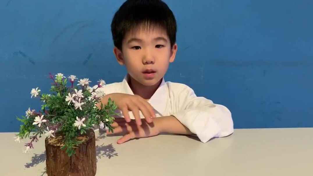 教学演绎