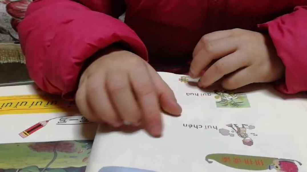 VID_20191127_220416.mp4