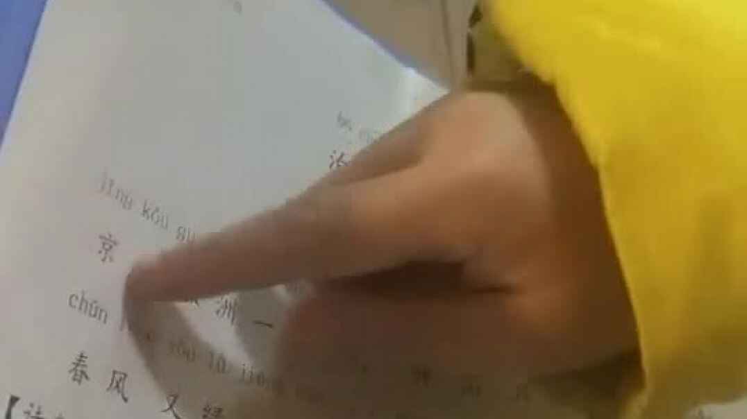 动手动脑我最行7