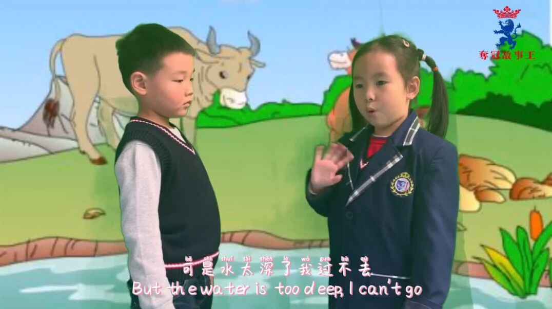 夺冠故事王参赛作品