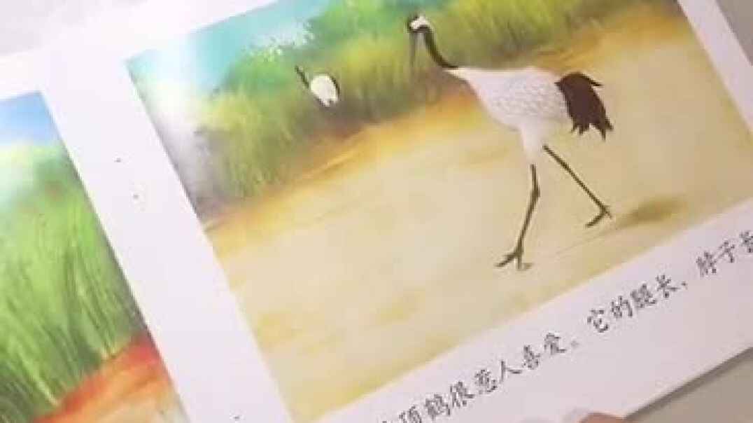 说一说5