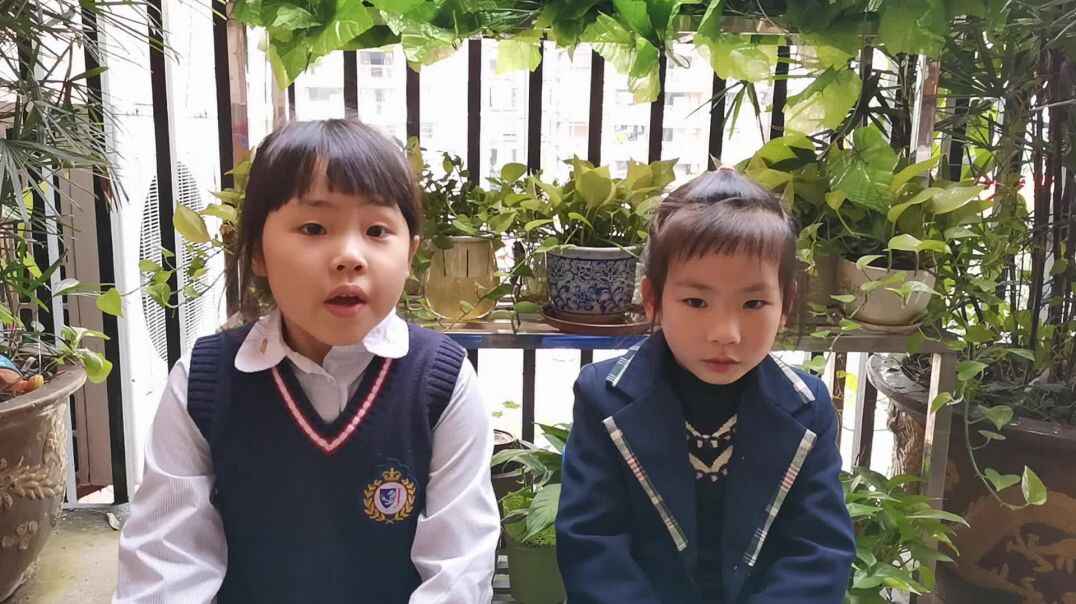 认知能力