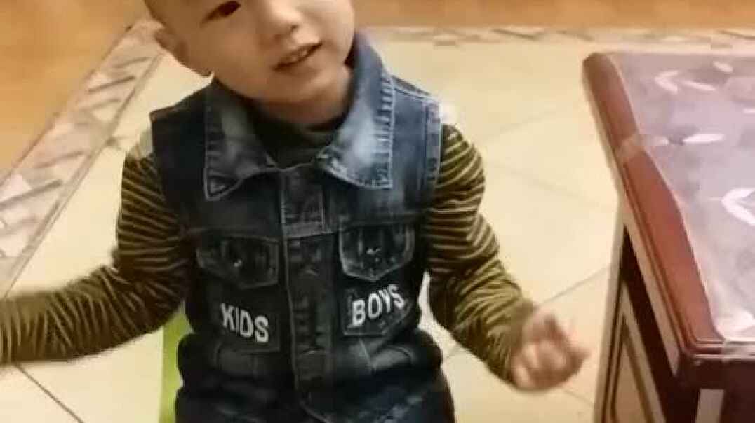 毛毛虫