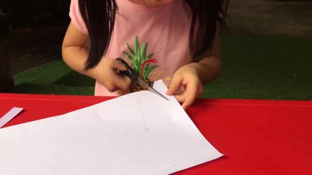 我的画本