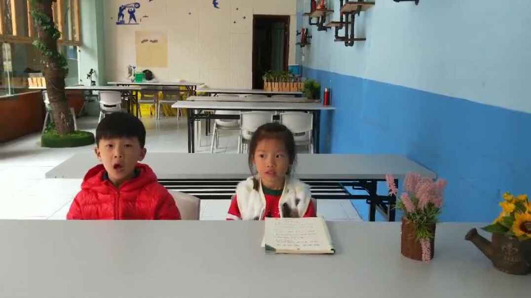 语言表达 (13).