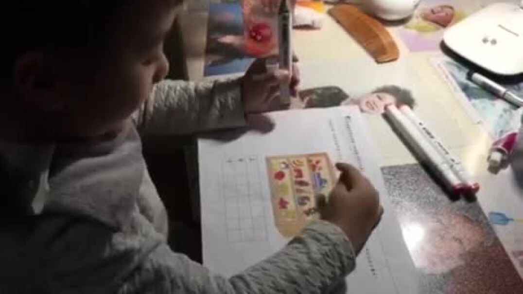 实验中班11月7日家庭作业18号