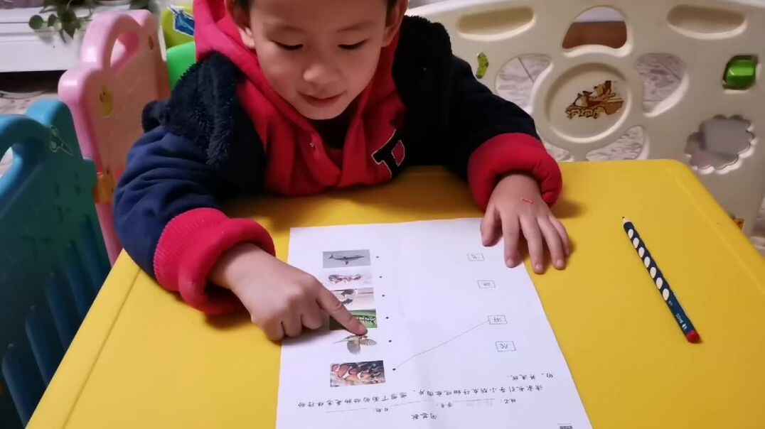 问答歌.mp4
