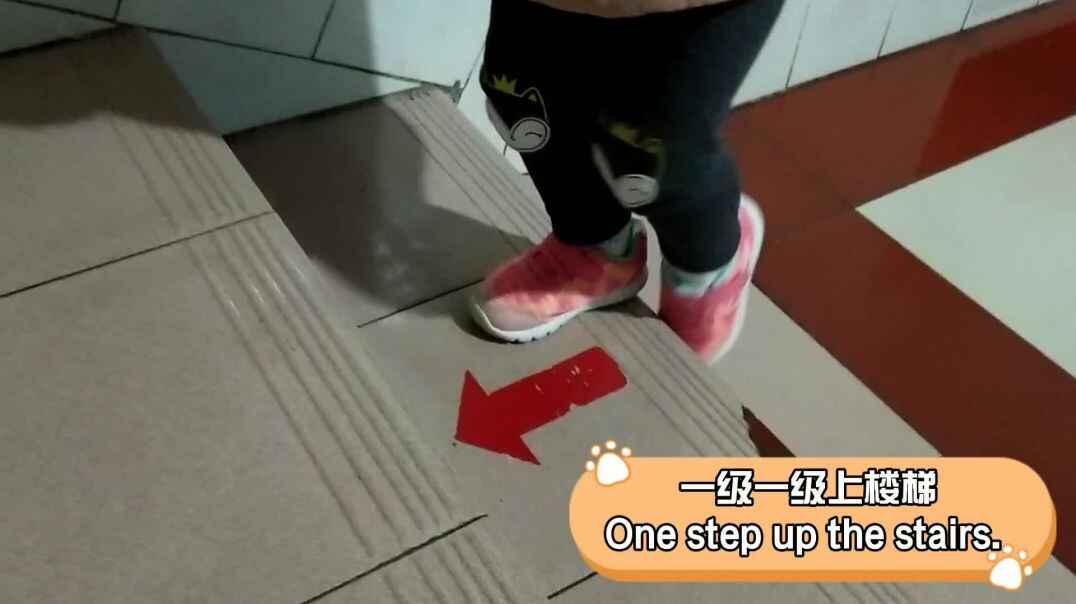 知识点视频——安全上下楼梯.mp4