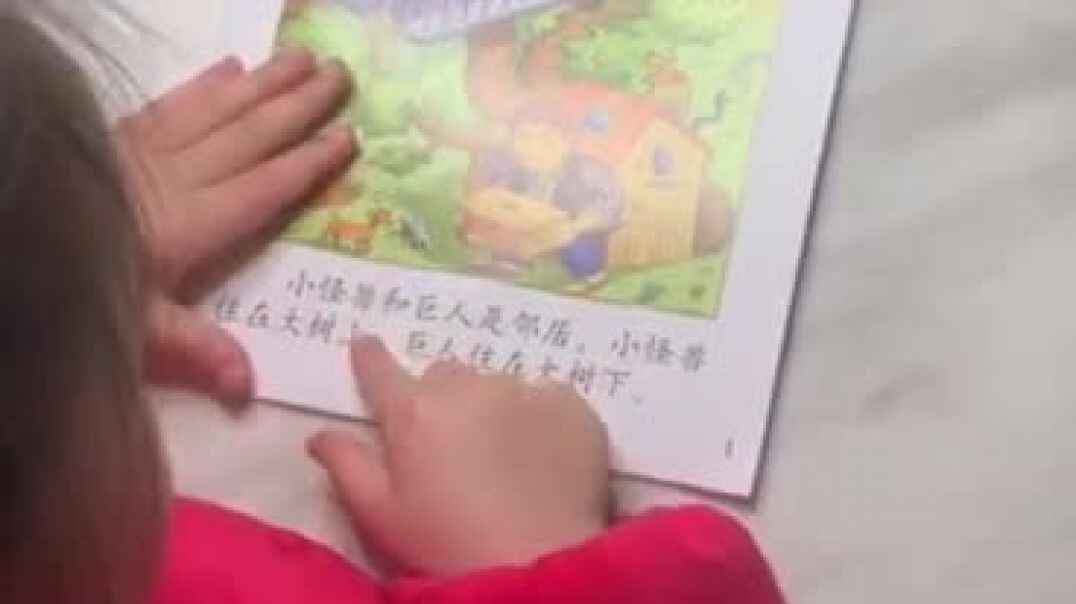毛毛小可爱4