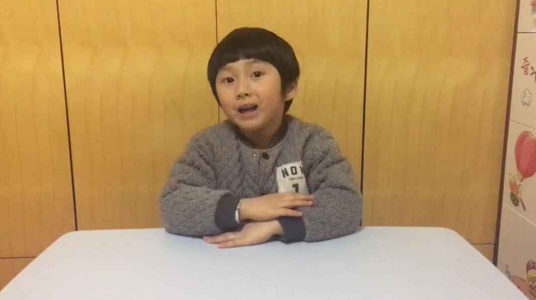 毛毛小可爱8