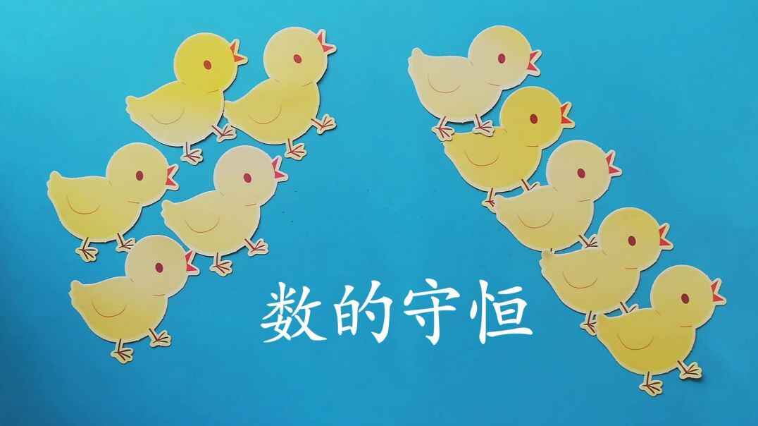 《数的守恒》知识点