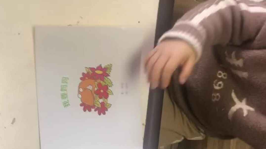实验中班家庭作业2019.11.2-21号
