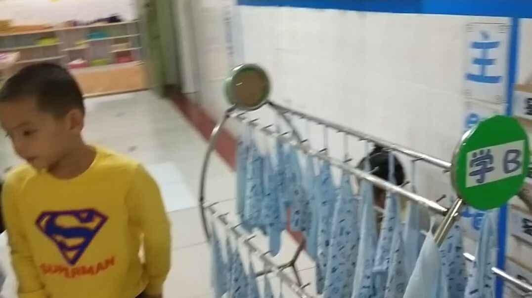 日常认知