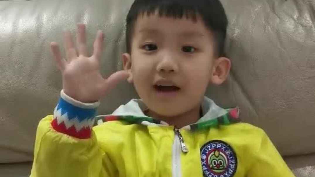 五只小鸟