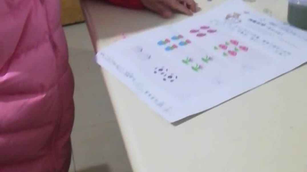 判断对与错