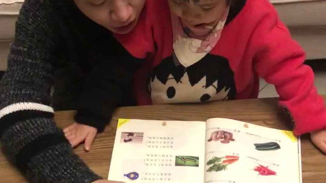 问答歌——肖惟妙