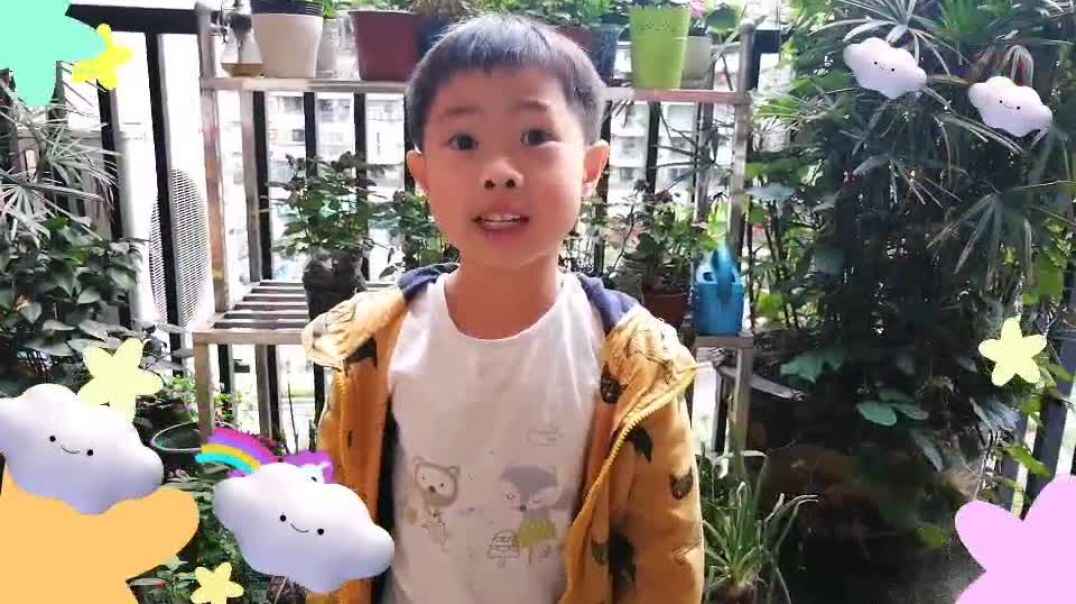 今天你哭了吗