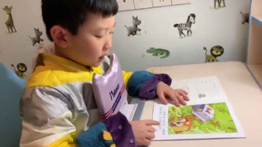 毛毛小可爱