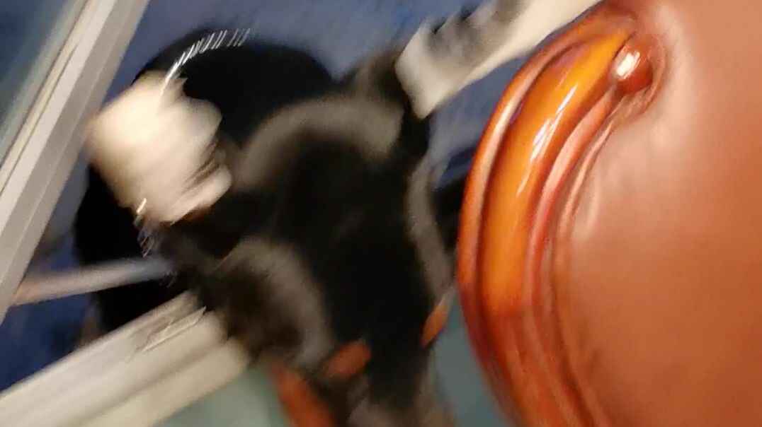 我和大莽