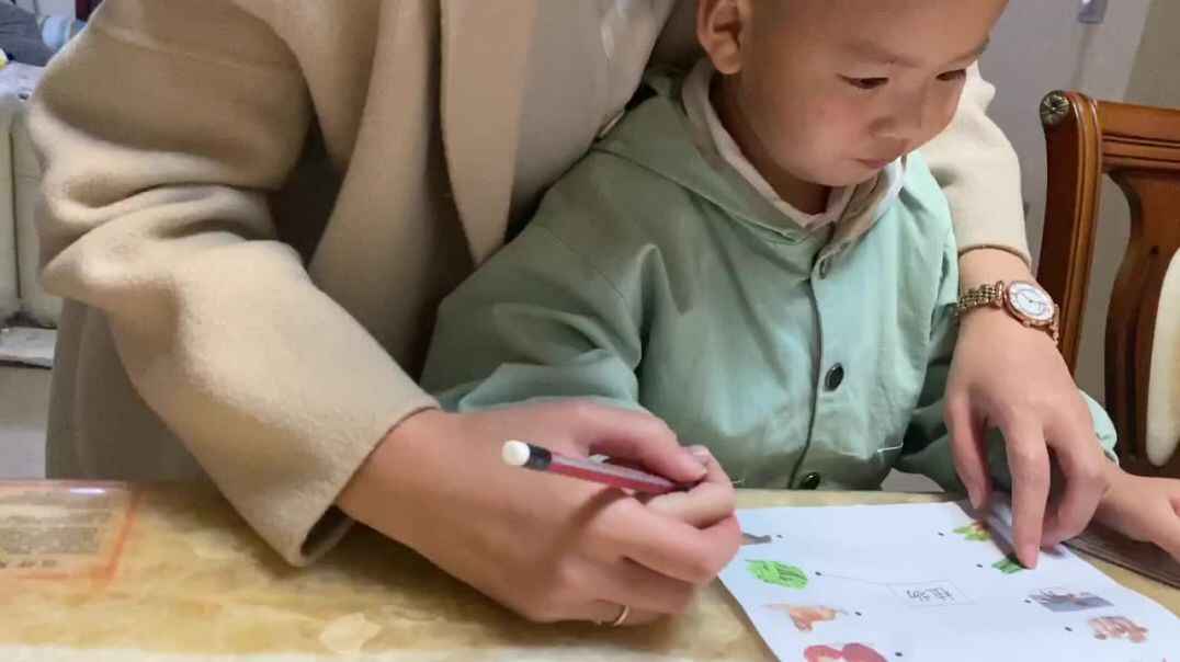 《动物和植物》