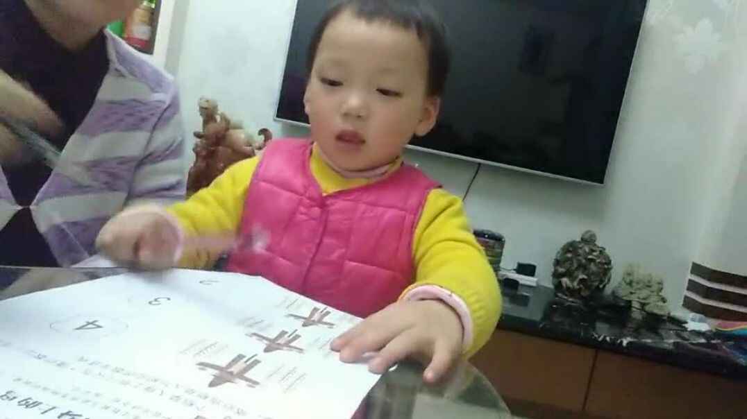 认识4以内的数字