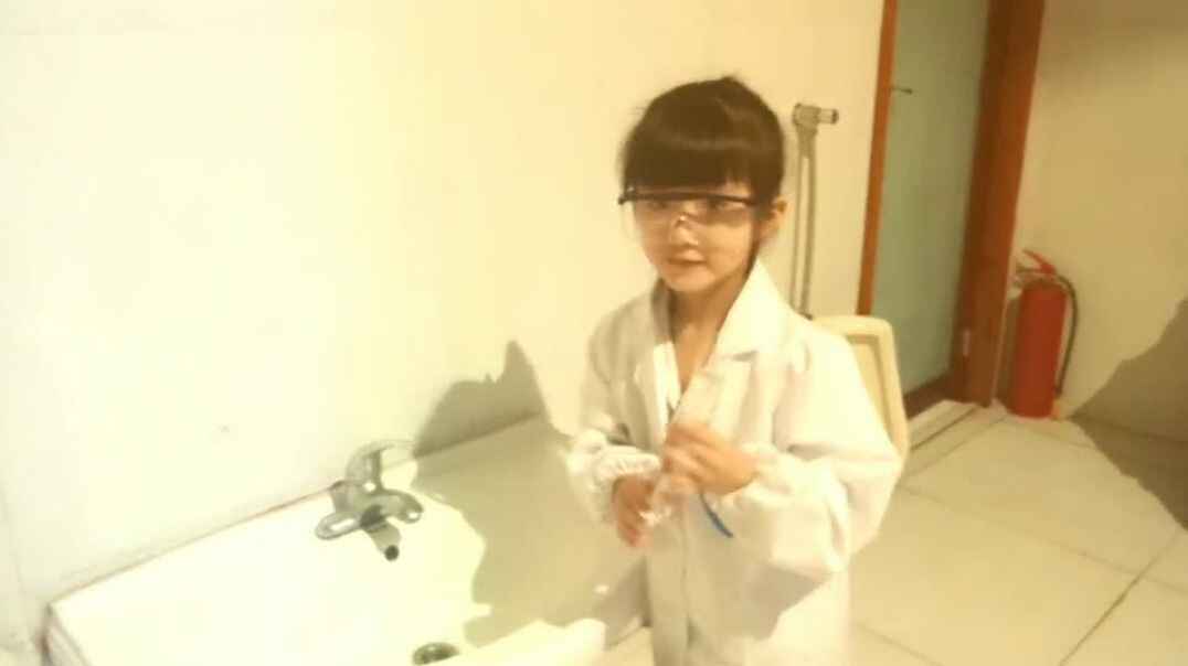 奇妙的种子