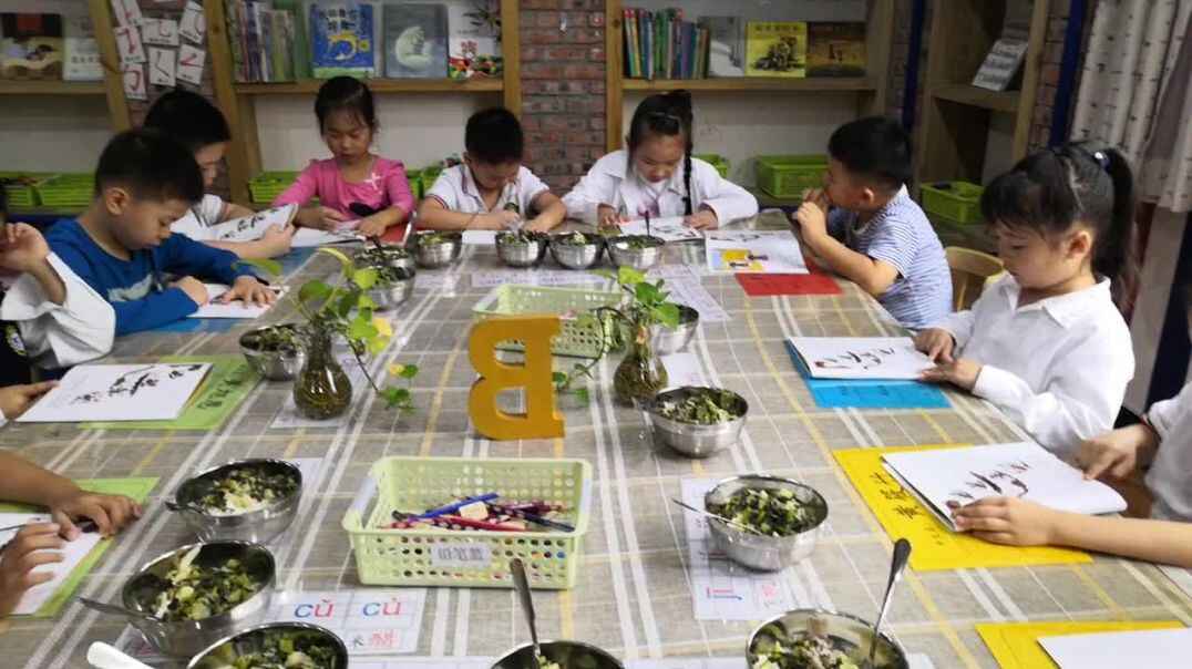 我的学习