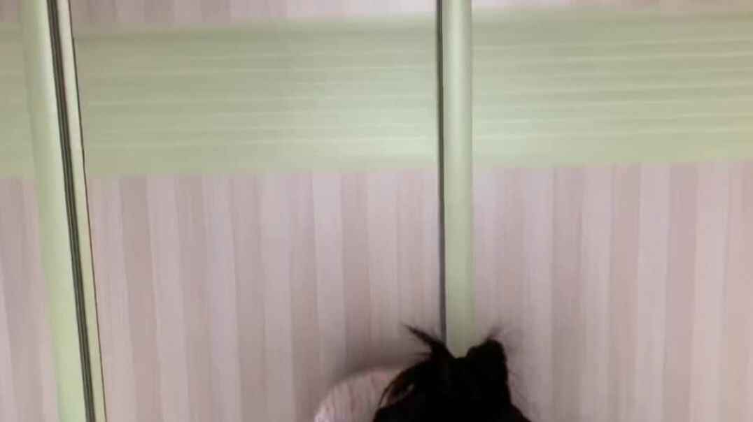 英语-8
