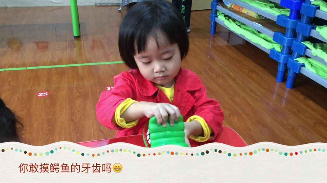 小鳄鱼