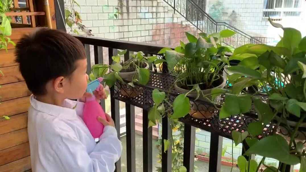 给花浇水