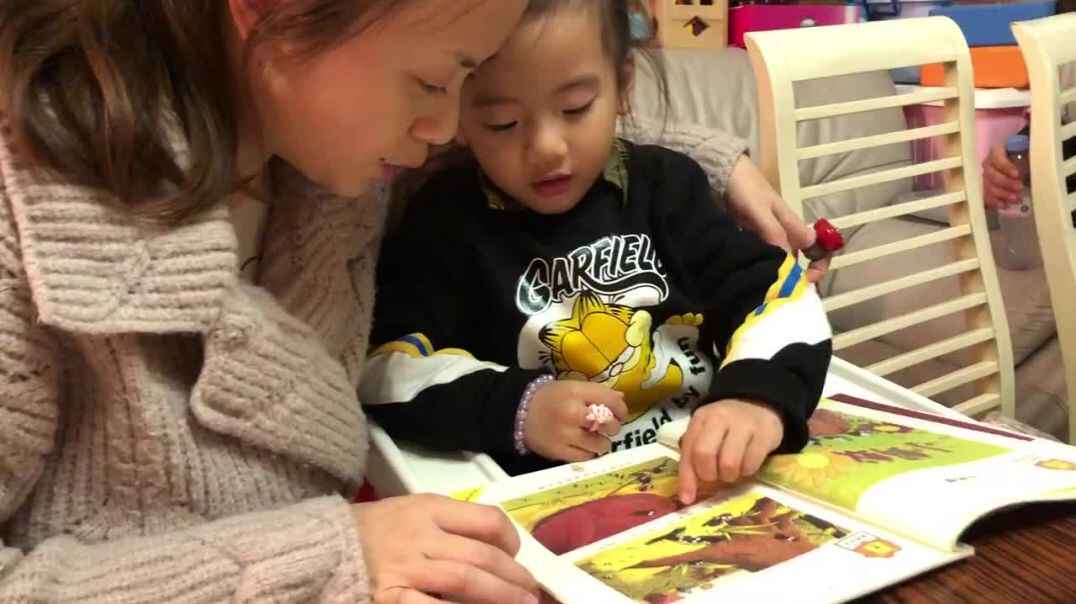 2019.11.5实验中班23号作业反馈