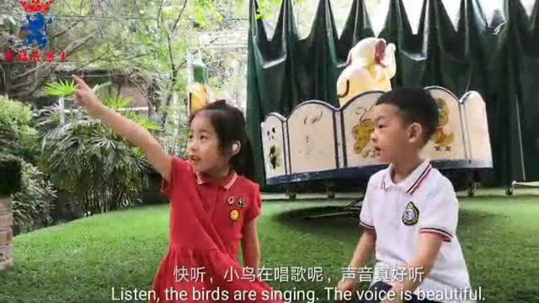 《最美的声音》