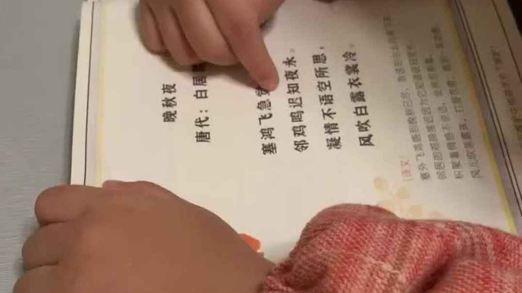 2019.11.9实验中班家庭作业9号李君妍
