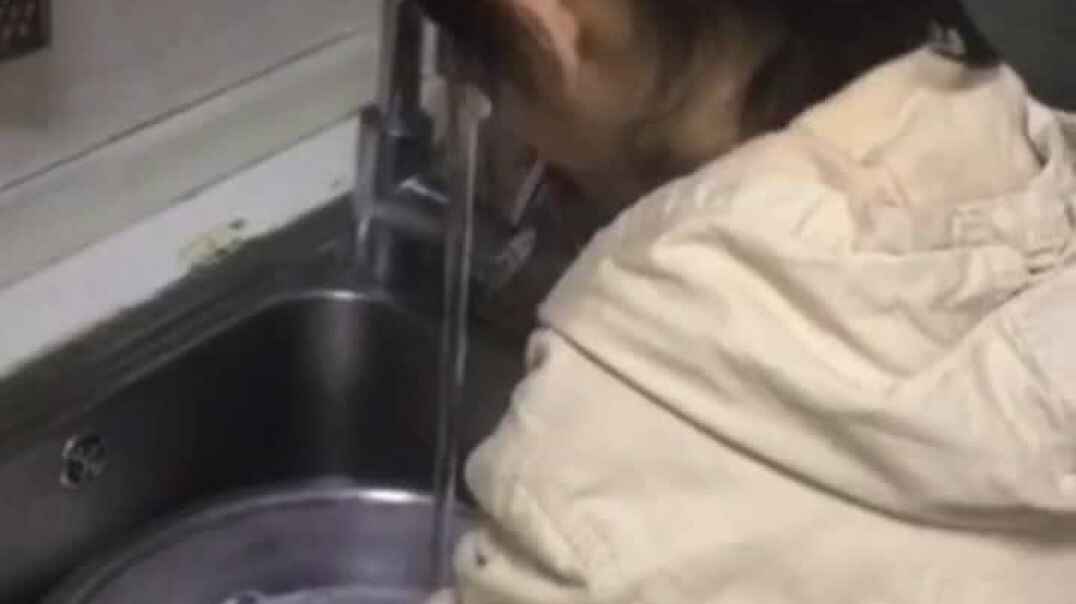 生活教育《我会洗碗》