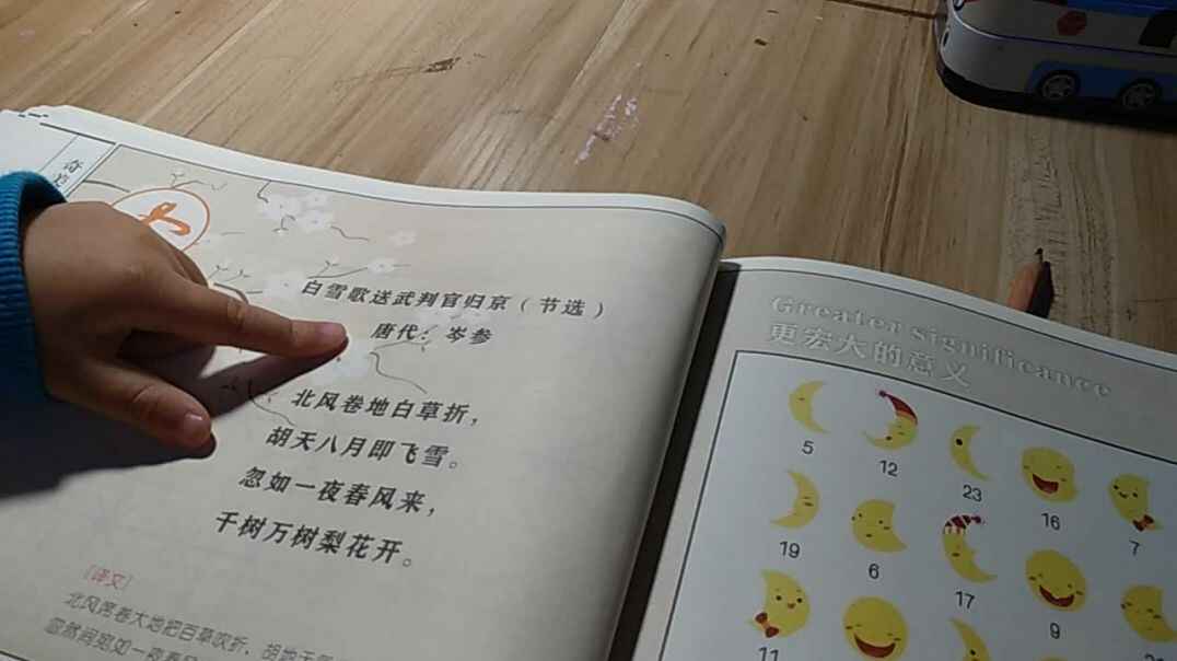 11月7日《白雪歌送武判官归京》宋晓雨