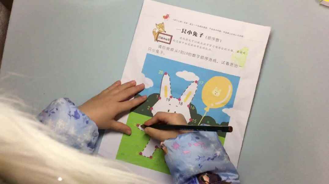 大B班—一只小兔子—刘旖茉.MOV