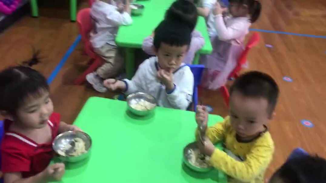 教育活6