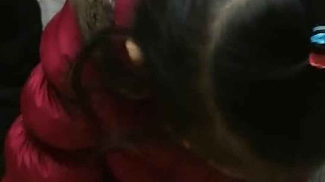 文汐认识性别.mp4