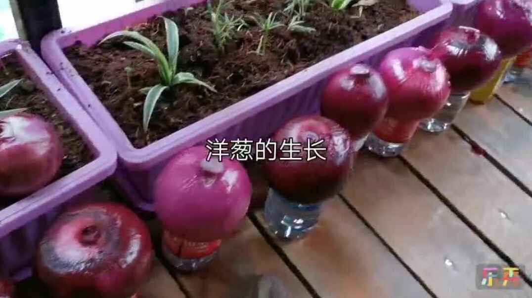 孩子们的成果
