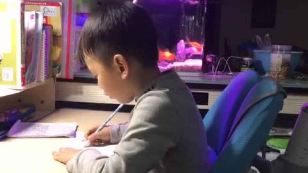 拼音练习