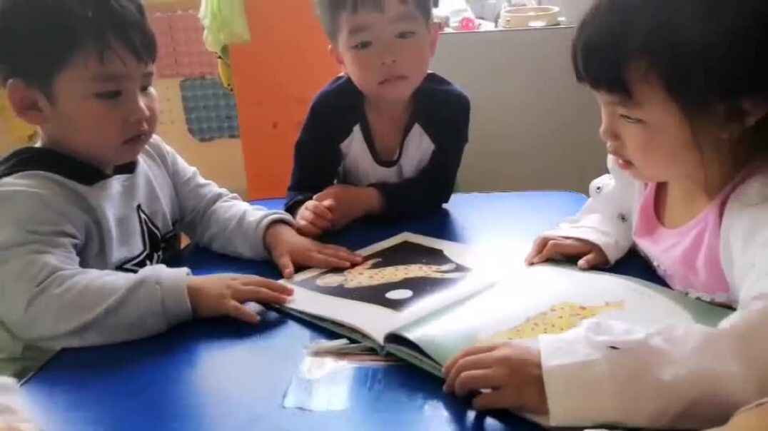 阅读
