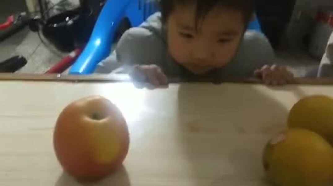 小A班郑雯丹数的多少