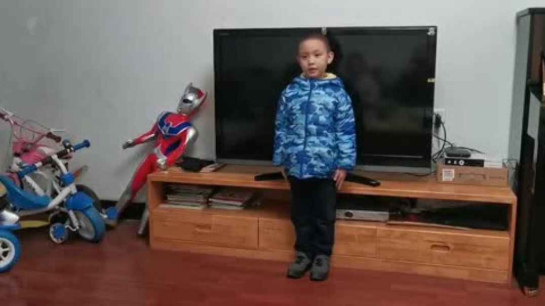 2019-11-25 大A班 郑彧岚-喜欢的衣服