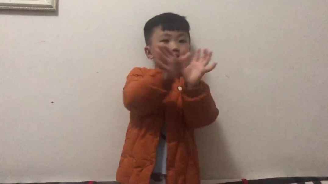 五只小鸟