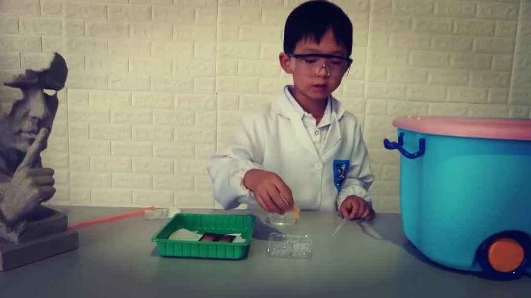 PH试纸