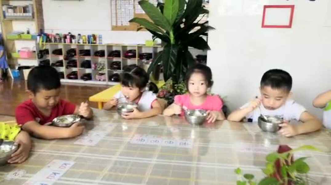 我的食物