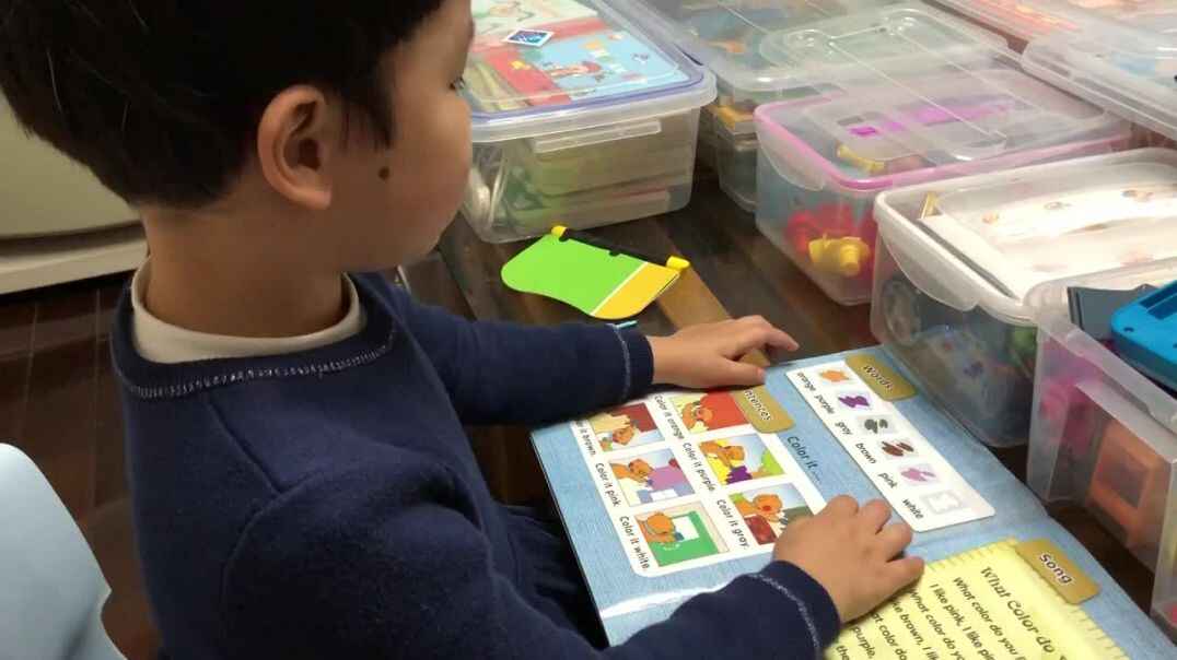 实验中班5号小朋友作业反馈
