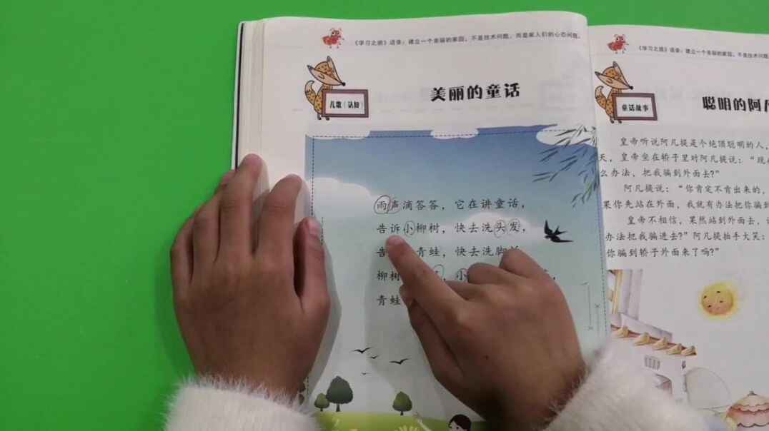 《美丽的童话》知识点.mp4