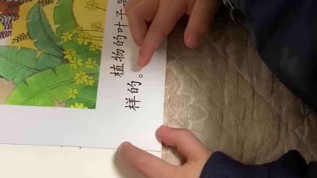 2019.11.06实验中班15号家庭作业反馈